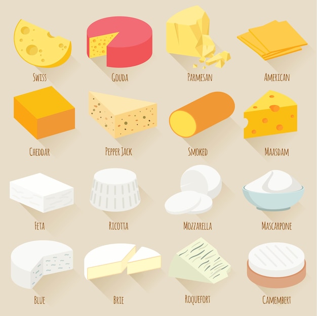 Popular kind of cheese illustrations