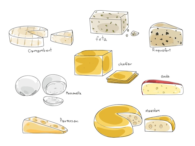 치즈 벡터의 인기있는 종류 설정 손으로 그린