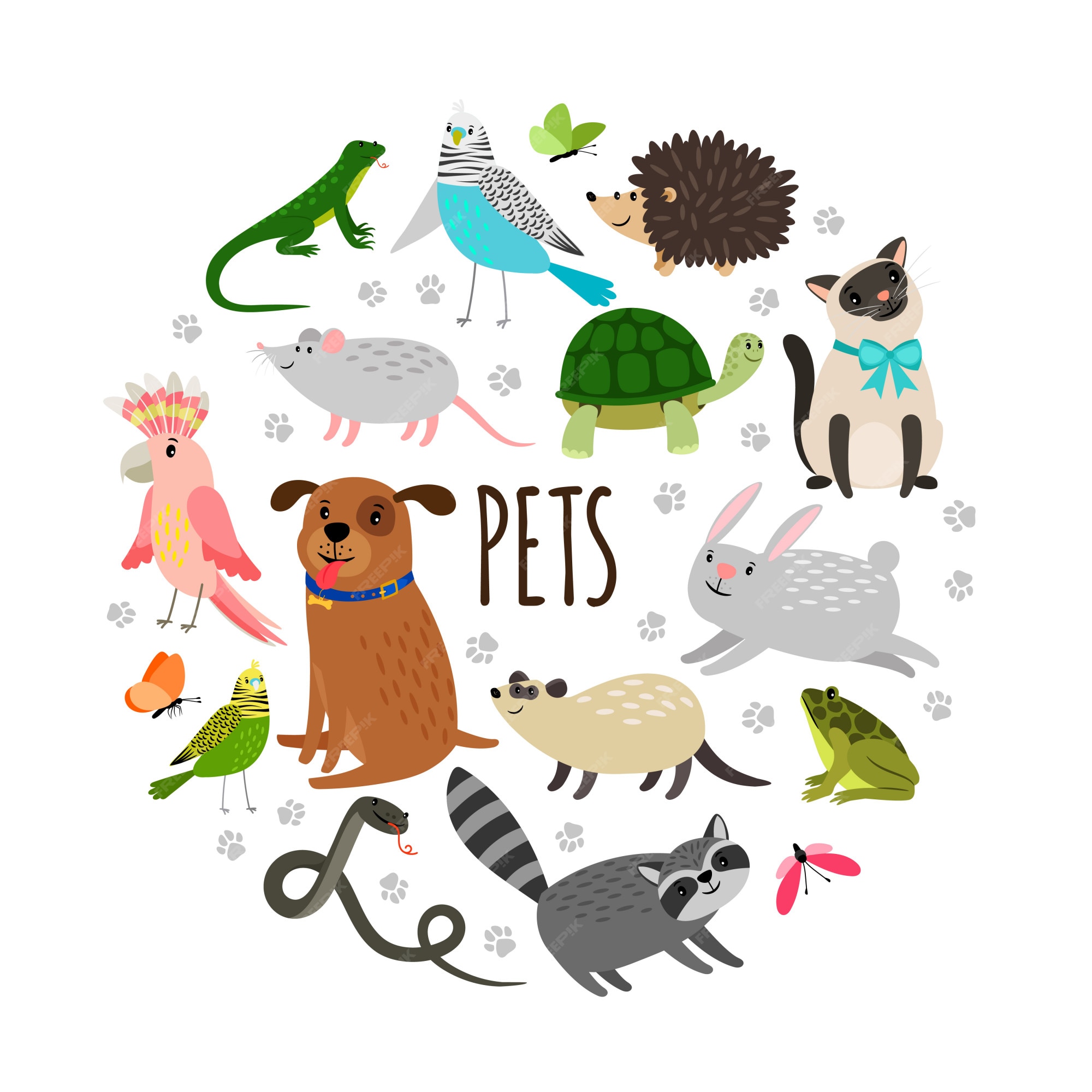 Premium Vector | Popular pets round banner design. cartoon animals isolated on white background Premium Vector | Popular pets round banner design. cartoon animals isolated on white background