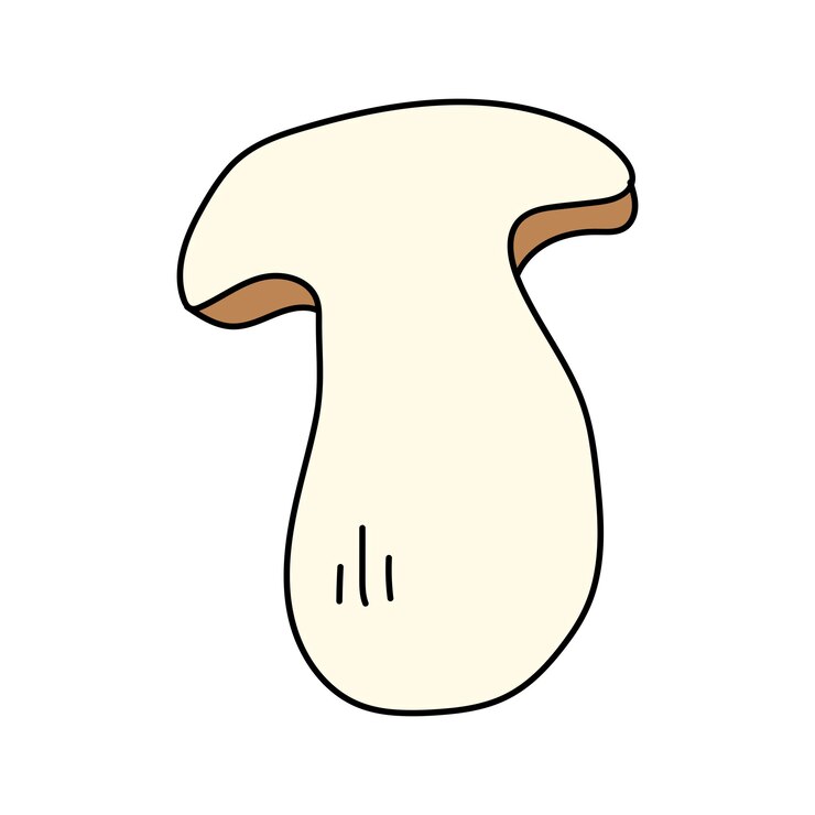 Vector porcini in doodle style vector isolated on white background