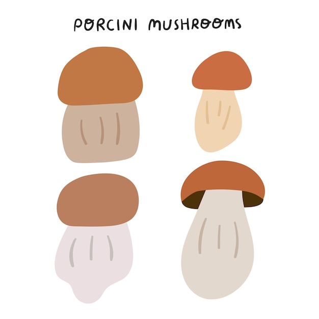 Porcini mushrooms. Collection of hand drawn illustrations on white background.