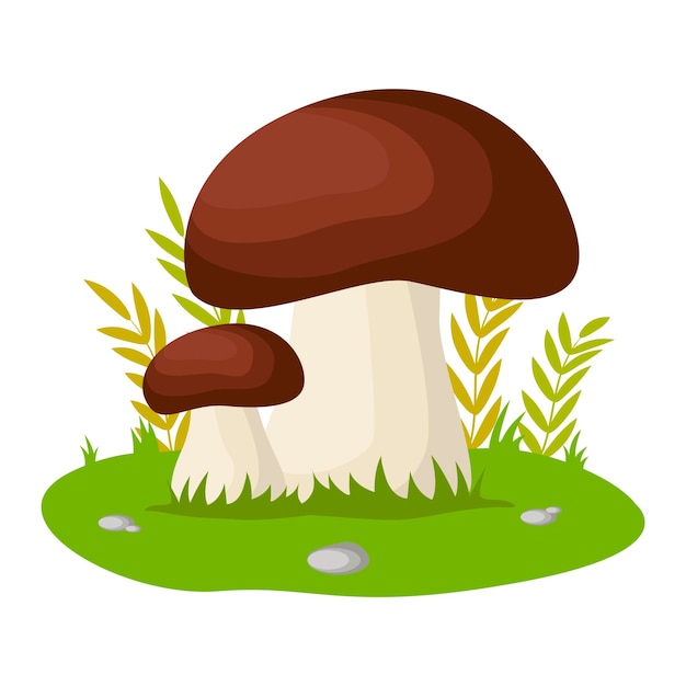 Porcini paddestoelen geïsoleerd op een witte achtergrond in het gras Vector illustratie EPS 10