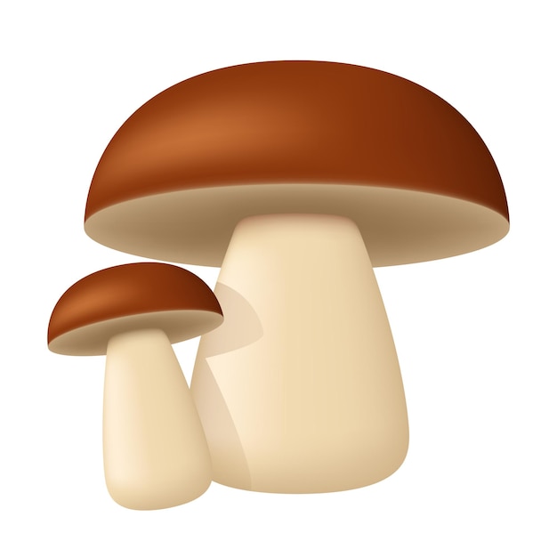 Porcini Two mushrooms Vector clipart isolated on white background