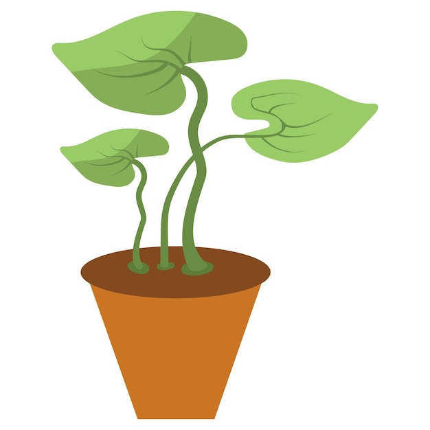 Vector poreuze klei pot plant concept cachepots vector kleur pictogram ontwerp