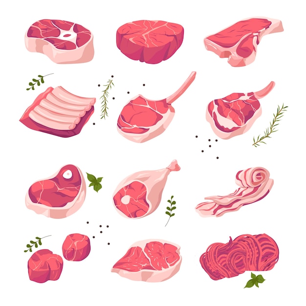 Vector pork meat different kinds assortment in shop