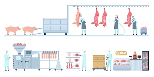 농장 돼지에서 정육점까지 돼지 고기 생산 컨베이어 도살 제조 공정 단계 소시지 제품 산업 벡터 인포 그래픽