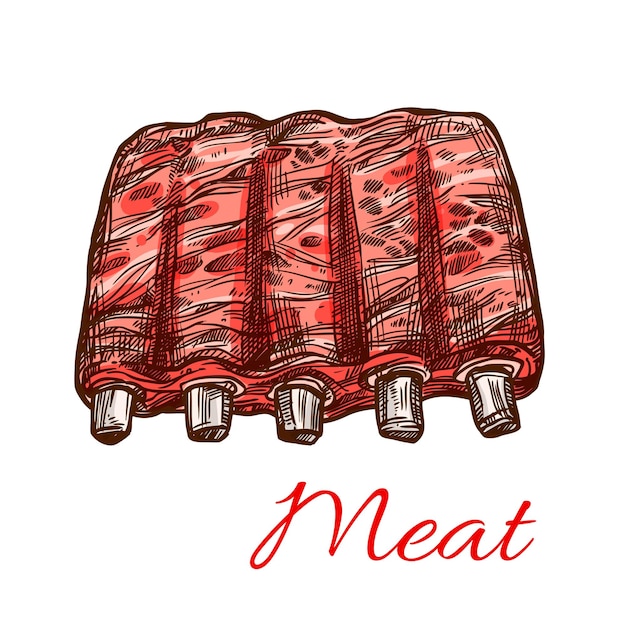 Pork or mutton fresh ribs vector meat sketch icon