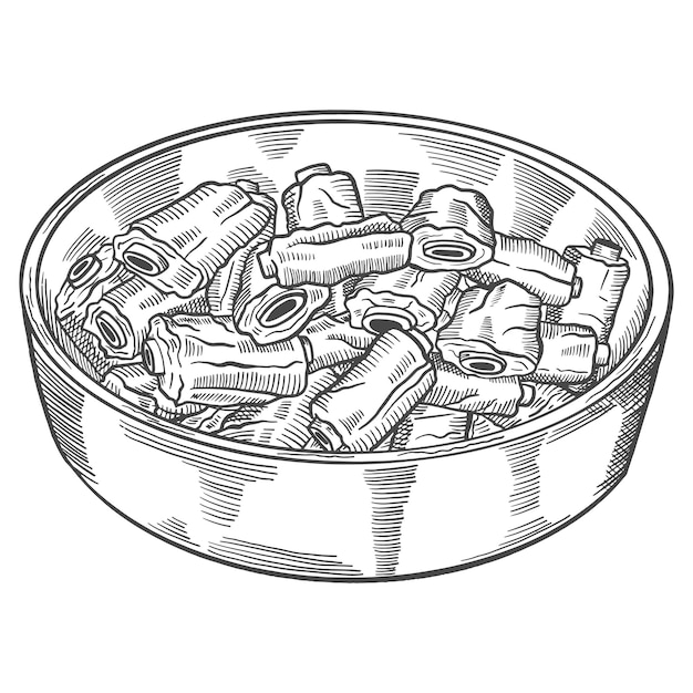 Pork ribs korea or korean cuisine traditional food isolated doodle hand drawn sketch with outline style