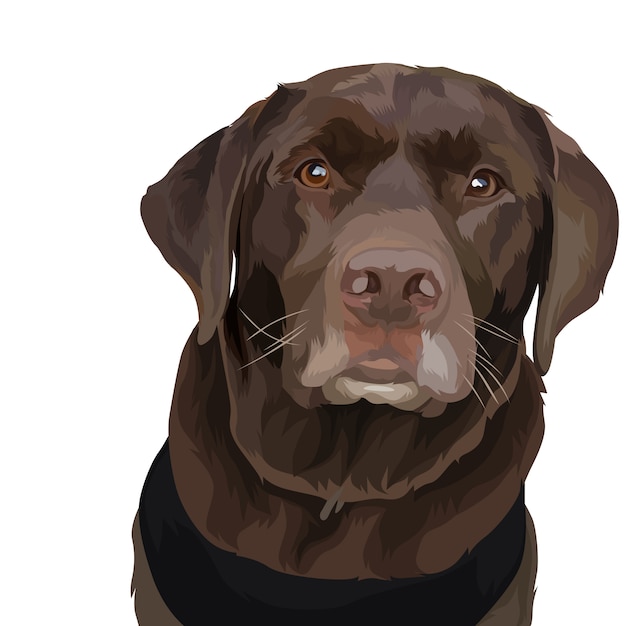 Vector portrait animal dog