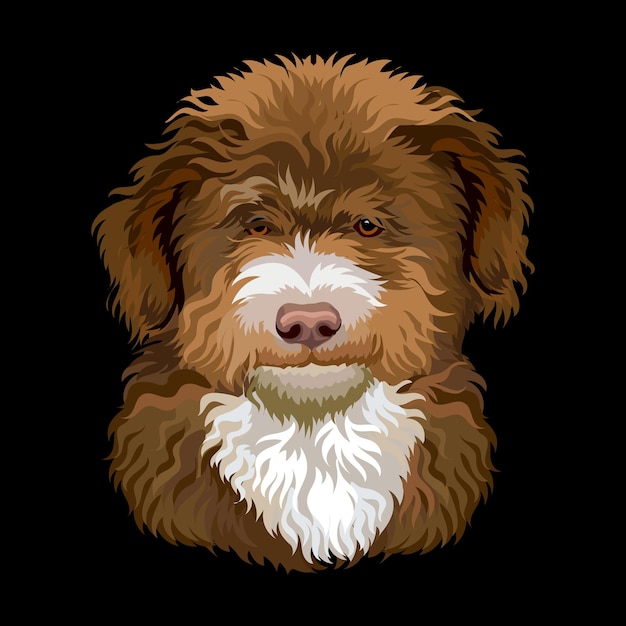 Vector portrait of barbet french water dog close up vector illustration