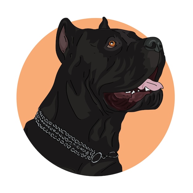 Portrait of a big black dog, Cane-corso.