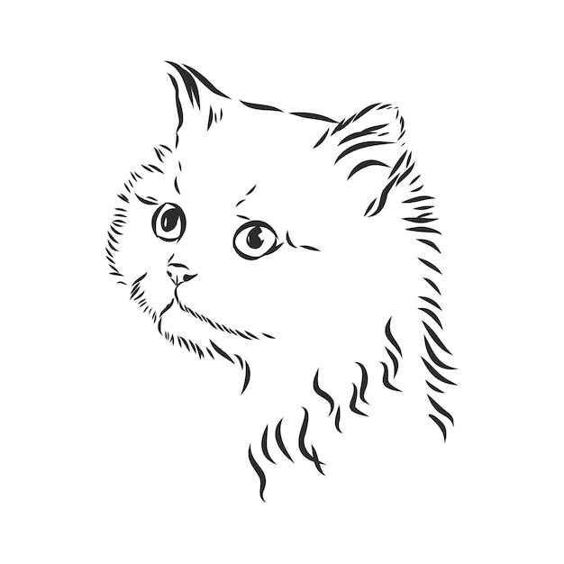 Портрет кошки домашней кошки векторные иллюстрации эскиза