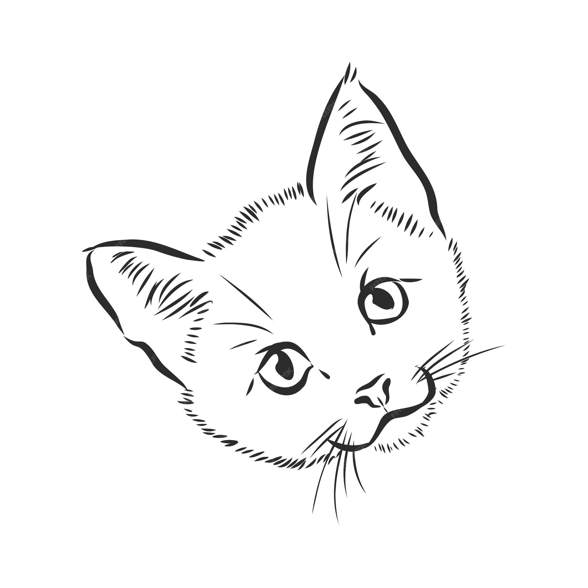 Profile of a Cat Graphic Icon Stock Illustration - Illustration of  artistic, drawing: 135822854