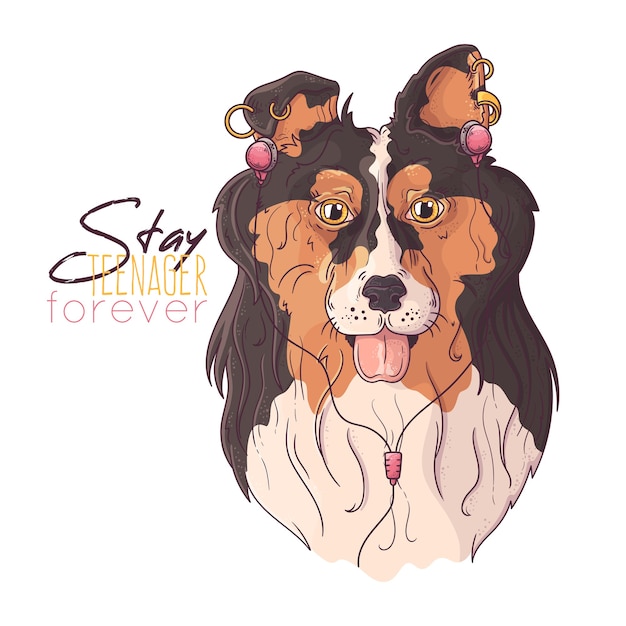 Vector portrait of cute collie dog in musical accessories