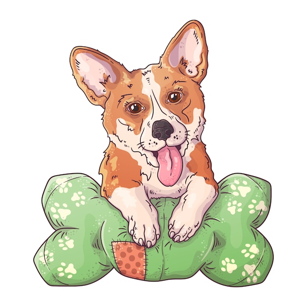 Portrait of a cute corgi dog on the pillow.