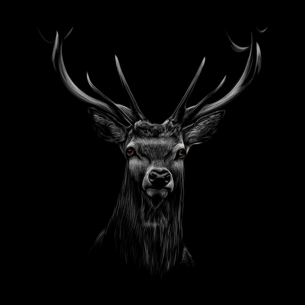 Portrait of a deer head on a black background. Vector illustration