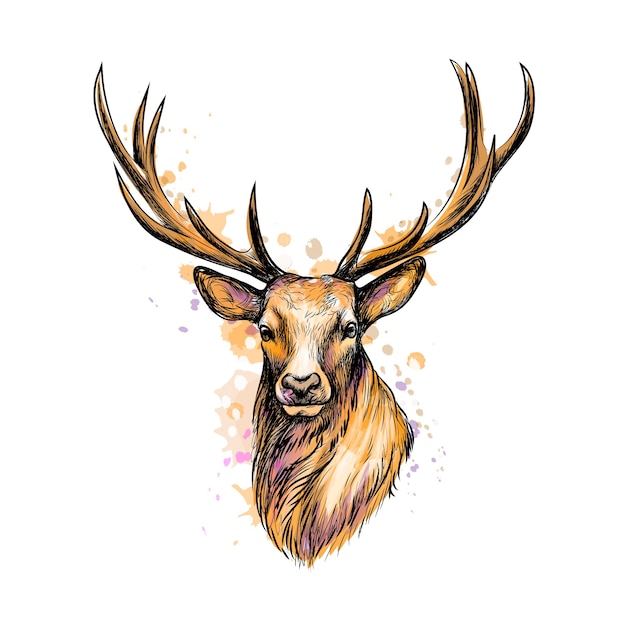 Portrait of a deer head from a splash of watercolor, hand drawn sketch.  illustration of paints