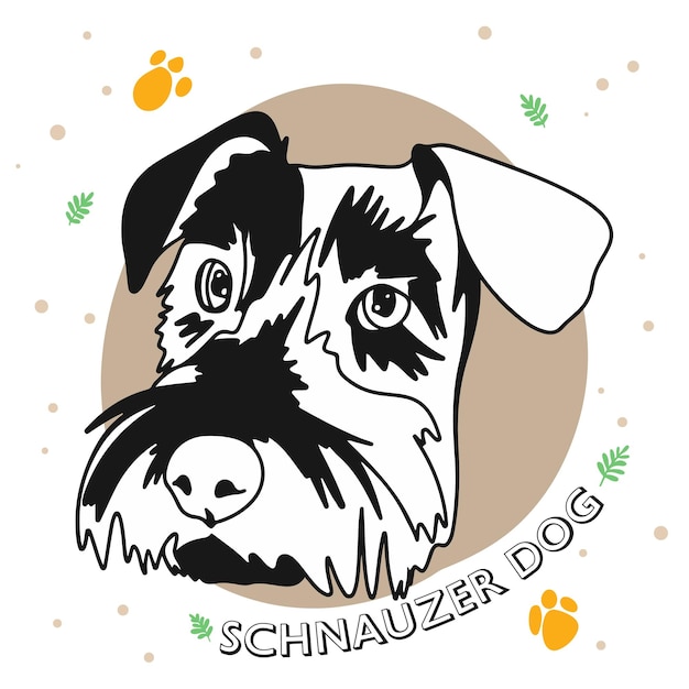 Vector portrait of a dog breed schnauzer funny puppy