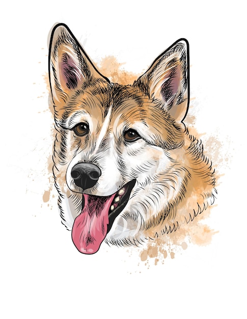 ベクトル 水彩画のスプラッシュと犬の手描きスケッチの肖像画犬のイラスト
