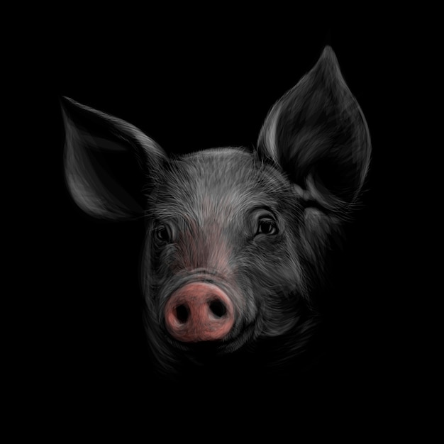 Vector portrait of a pig head on a black background. chinese zodiac sign year of pig.  illustration