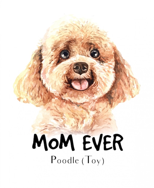 Portrait poodle toy for printing