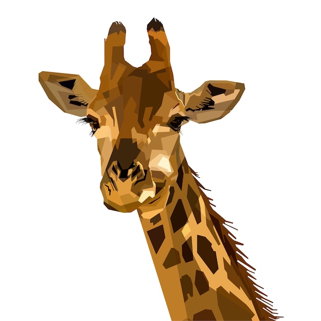 Portrait wildlife mammal fauna giraffe