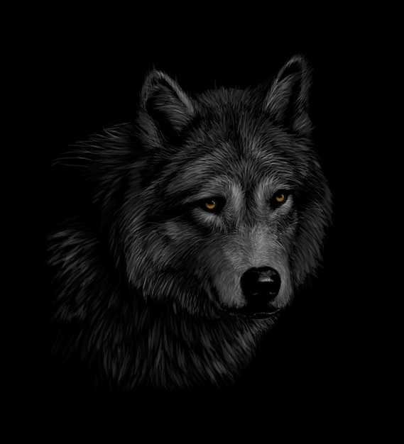 Portrait of a wolf head on a black background. vector illustration