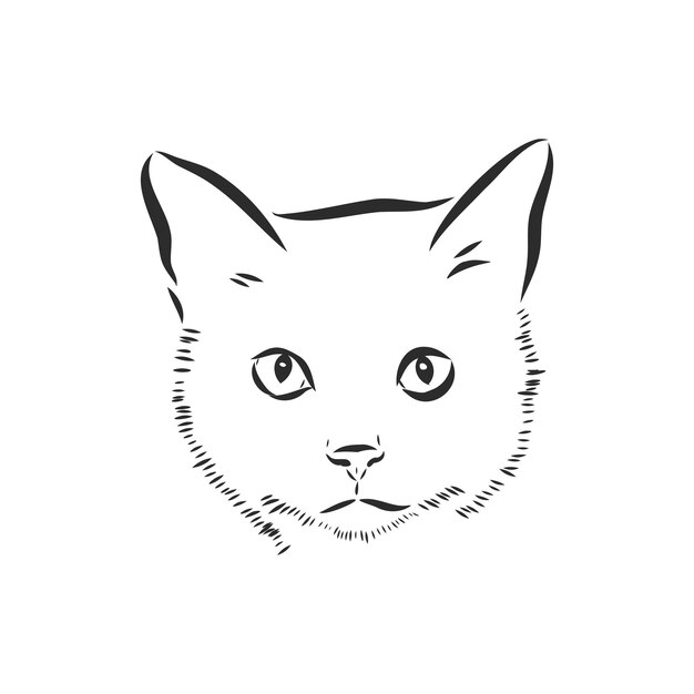 Portret van een kat huiskat vectorillustratie van een schets