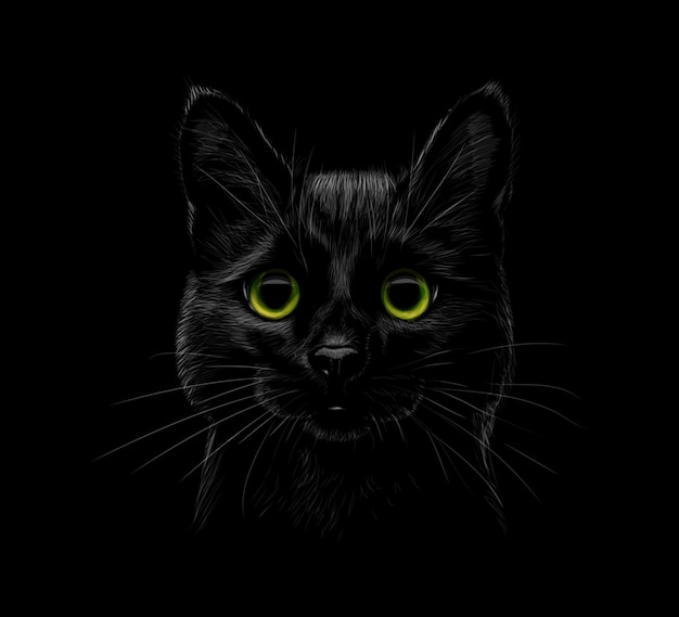 Portret van een kat op een zwarte achtergrond. Vector illustratie