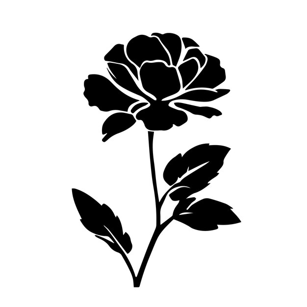 Premium Vector | Portulaca black and white vector template set for