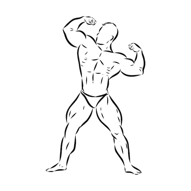 Vector posing bodybuilder isolated vector silhouette ink drawing