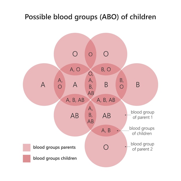 Vector possible blood group abo of children
