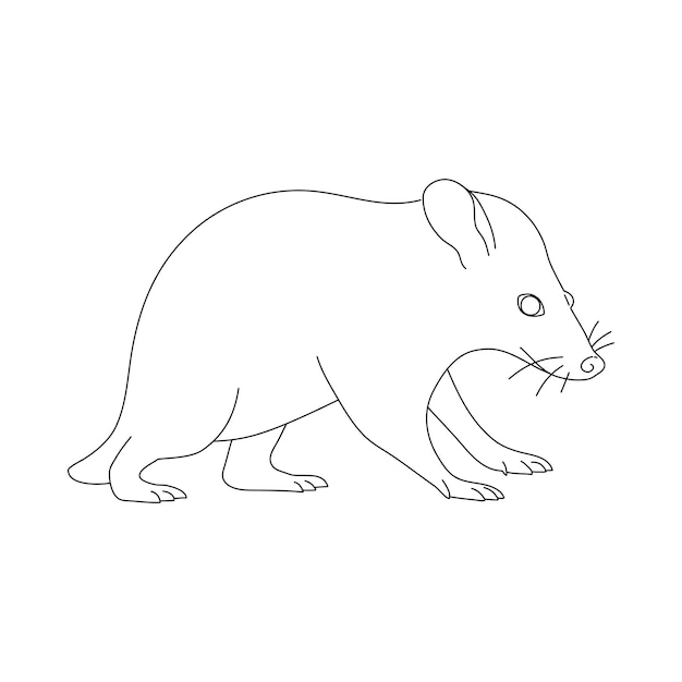 Vector possum in line art drawing style vector illustration