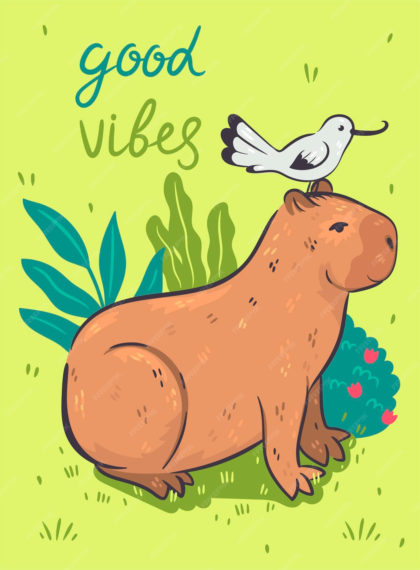 Capybara with his bird friend  Capybara, Cute drawings, Cute doodles