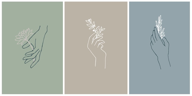 Vector postcards hand elements with herbs and flowers colored backgrounds pastel colorsmystical symbols