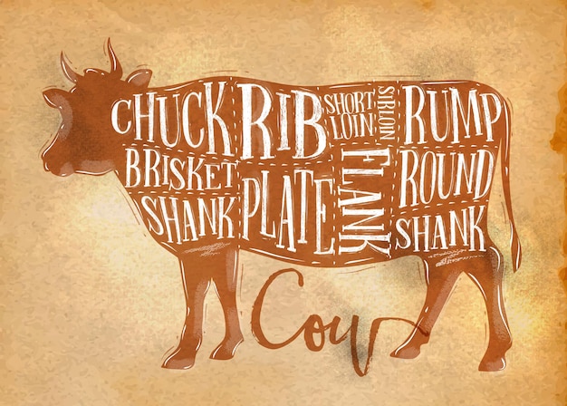 Poster beef cutting scheme lettering chuck brisket shank rib plate flank sirloin shortloin