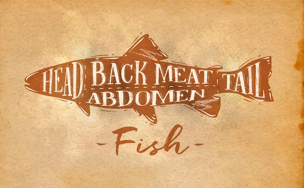 Poster schema di taglio del pesce lettering testa indietro carne addome coda in stile retrò disegno artigianale