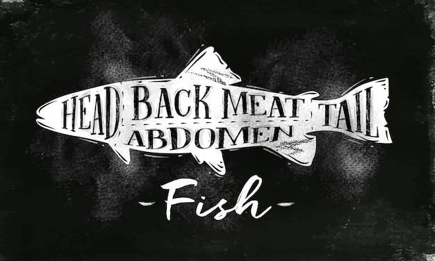 Poster fish cutting scheme lettering head back meat abdomen tail in vintage style