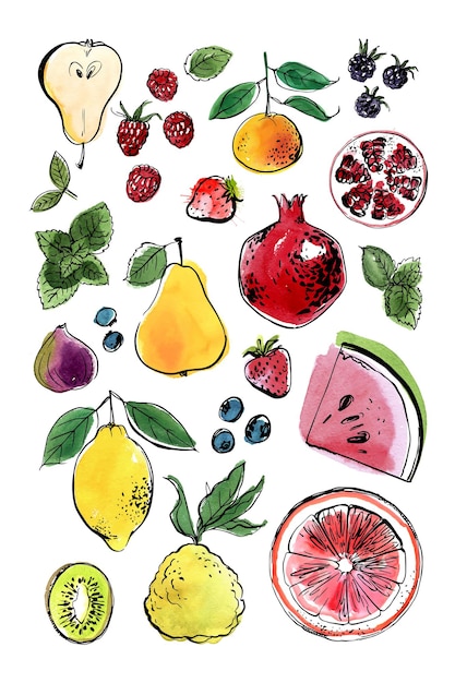 Vector poster food fruit watercolor ink lemon pomegranate figs berries watermelon