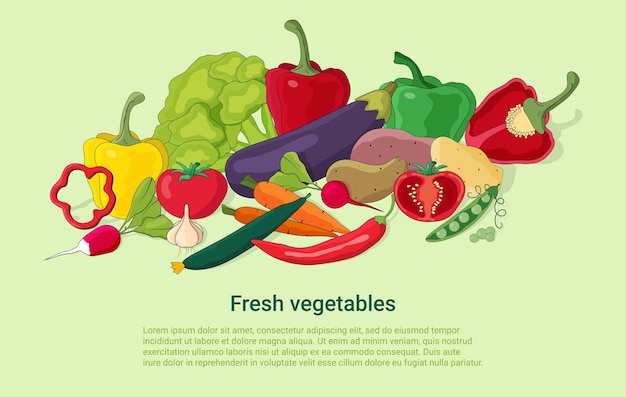 Vector poster of fresh vegetables different vegetables on a light green background