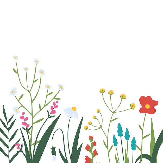 Vector poster met wilde bloemen in botanische stijl geïsoleerd op wit banner sjabloon met florale elementen