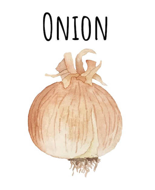 A poster for the onion store