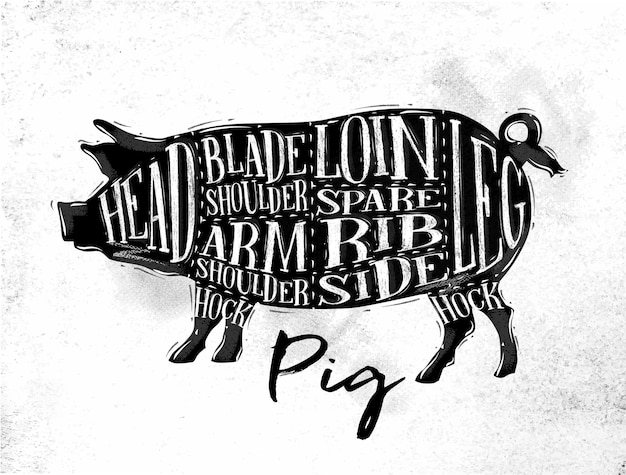 Poster pig pork cutting scheme lettering head loin spare rib side hock leg in vintage style