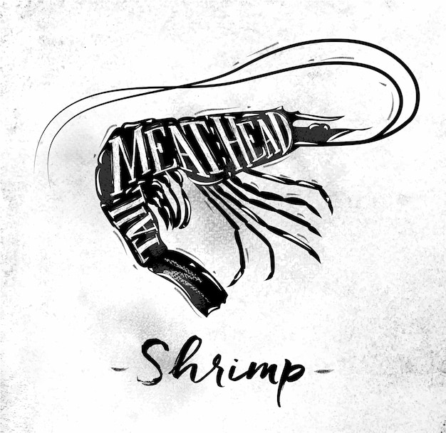 Poster shrimp cutting scheme lettering meat head tail in vintage style drawing on dirty paper