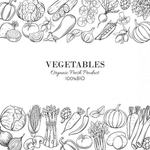 Vector poster template borders with hand drawn vegetables
