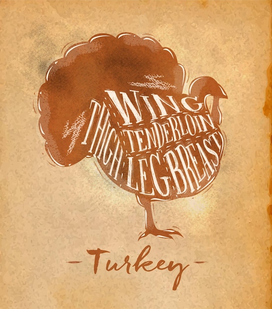 Vector poster turkey cutting scheme lettering wing tenderloin thigh leg breast in retro style