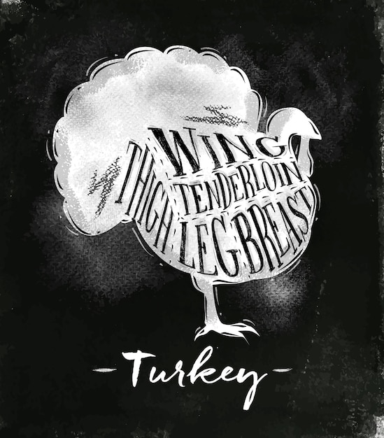 Vector poster turkey cutting scheme lettering wing tenderloin thigh leg breast in vintage style