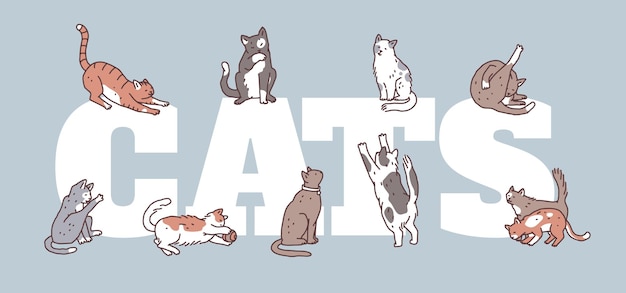 Vector poster with cats in different poses. not pedigreed pets outline doodle vector flyer or banner.