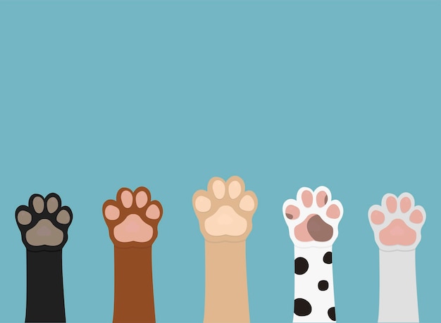 Poster with different colors cat dog paws on blue background. illustration can be used like poster o