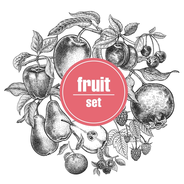 Vector poster with fruits and berries